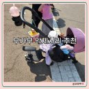 에버휠 이미지