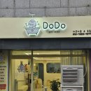도도애견샵 네이버블로그