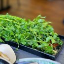 청미농장 이미지