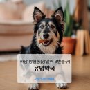 빠른대학약국 이미지