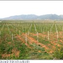 고산 제2농장 이미지