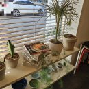 행복제면소 | 대구 동성로 반월당 우동맛집[덕산제면소]웨이팅,주차,찐 후기