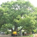 지수2(수동) 이미지