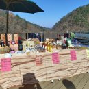 윤진희 농장 이미지