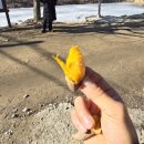 외갓집체험마을 | [일상 공유] 외갓집 체험마을 다녀온 따끈따끈한 후기 공유