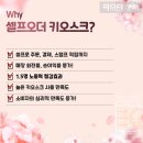 주식회사 레이월드 이미지
