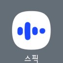 1255 | [스픽/할인쿠폰] 영어 공부 어플 스픽 내돈내산 1255일 연속 사용 리얼 후기