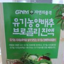 gnm자연의품격 양배추브로콜리진액 이미지