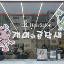 옥헤어싸롱개미와공작새 | 개미와 공작새 옥헤어싸롱
