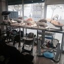 베이비플러스 대구점 이미지