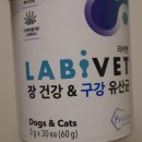 ㈜고려덴탈 | 종근당바이오 라비벳｜강아지변비 해결을 위한 노력! 22년 국내 1위 강아지유산균 급여 후기