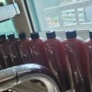 형제농원 이미지