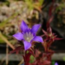 용담농장 이미지