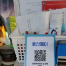 암돼지한마리 암소한마리