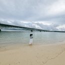 [2024 하반기 퇴근학습길] 경험으로 보는 이웃나라 일본 | 2024년 우리집 어워드🏆