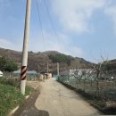 미희농장 Daum카페