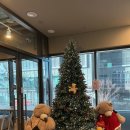 청량리24 | [청량리 더노벰버라운지] 청량리 카공 | 청량리 대형카페 | 서울 24시간 카페 (내돈내산 후기)