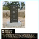 금정산 엄지바위,원효봉,사기봉/ 구절초,쑥부쟁이 이미지