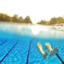 ANOTHER DOG 이미지