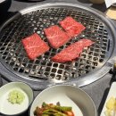 동부산농업협동조합 | 부산 동부산 소고기 맛집 기장 고기집 고와정 솔직 후기