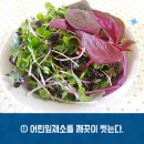 청춘오리 이미지