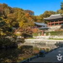 트렌드투어 이미지