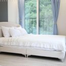 인제내린천 자작나무숲 겨울이네펜션 이미지