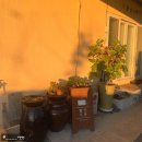 밀양빨간지붕 이미지