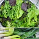 행순농장 티스토리