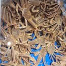 명곡동109 | 창원 대게 맛집 집에서 즐기는 편안함