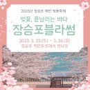 장승포해안로 이미지