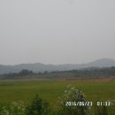 LH아파트 앞 제방 이미지
