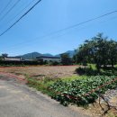 평지경로회관 이미지