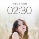 바람에 언덕 | 경남 거창 감악산 아스타국화 명소 별바람언덕 여행 후기 총정리