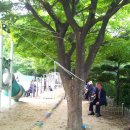 신평1동-15 이미지