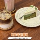 이르마민들레