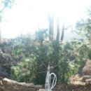 월강산하촌 이미지