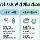 왁싱 올(waxing ALL)