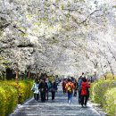 장안1제방 이미지