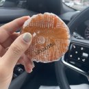 그린노래연습장(NO.189) | 바쁘다 바빠 5월 사회