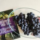 원일농원 이미지