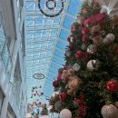 베이비송 이미지