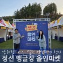 아리별마을 | 강원도 정선 가볼만한곳 관광두레 맹글장 DMO 프리마켓