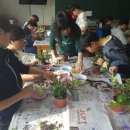 신녕초등학교 이미지