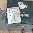 인동초등학교 이미지