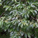 해든뮤지움 이미지