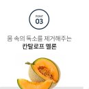 슬림 티스토리