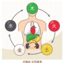 양정제 이미지