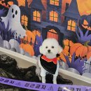 몽숲 이미지