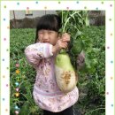 청솔창의어린이집 이미지